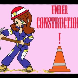 My closet is under construction